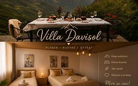 Villa Davisol